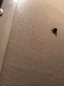 Jasontv56 online show from November 2025 12:31:01 PM