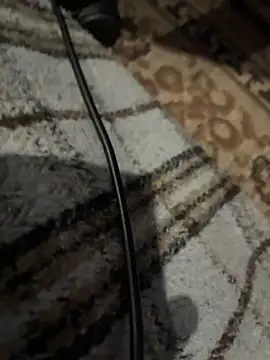 Snapshot of BringBackLostLover chatting on December 2025 10:10:01 PM BringBackLostLover online show from December 2025 10:10:01 PM