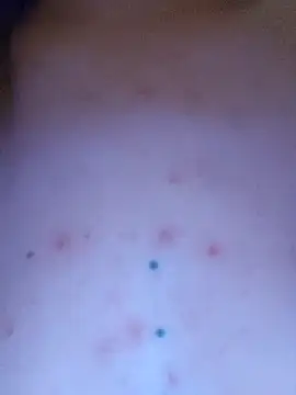 Linda 999 online show from April 2026 11:17:02 AM