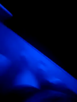 red red00 online show from March 2025 11:16:01 PM