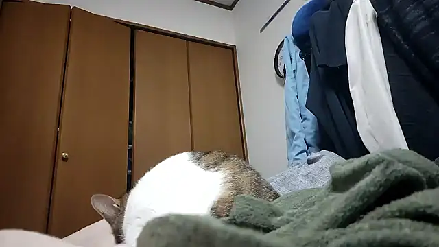 07YUKIO online show from April 2026 09:22:02 AM