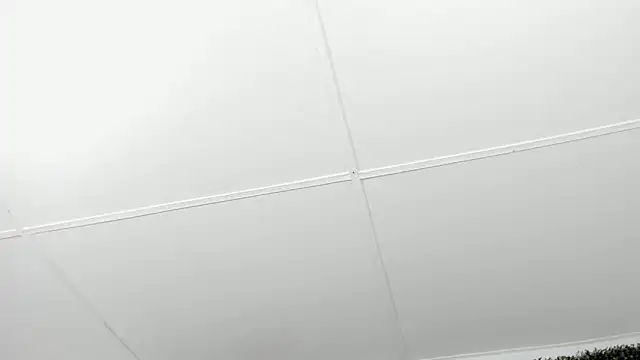 valentina 0  online show from December 2025 03:49:02 AM