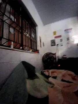 Zenfox24 online show from February 2026 12:29:01 PM