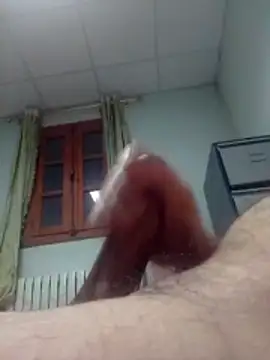 hbo54 online show from March 2026 08:38:01 PM