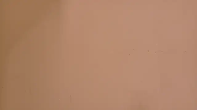 Snapshot of flavia_cruz chatting on June 2026 12:05:02 PM flavia cruz online show from June 2026 12:05:02 PM