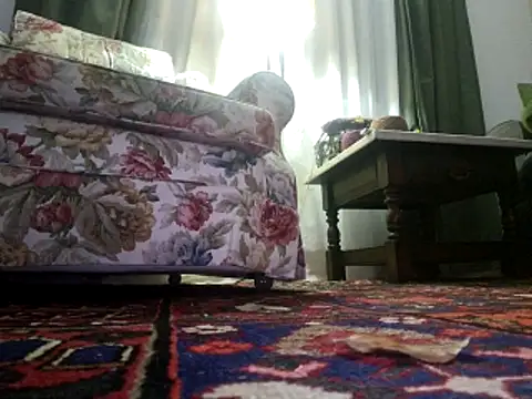 Snapshot of stavroun chatting on November 2025 11:20:02 PM stavroun online show from November 2025 11:20:02 PM