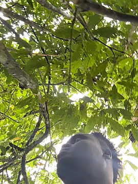 Andricastro online show from November 2025 01:49:01 PM