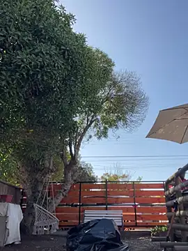 Andricastro online show from February 2025 01:42:02 PM