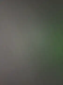 palomamoraid online show from December 2024 11:26:02 PM