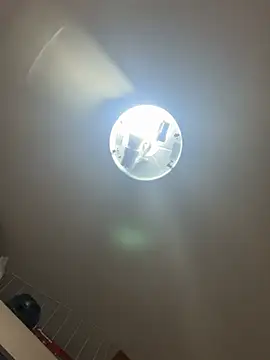 palomamoraid online show from December 2024 10:40:02 PM