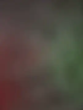 palomamoraid online show from January 2025 04:51:02 PM