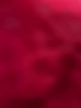 palomamoraid online show from March 2025 10:50:02 PM