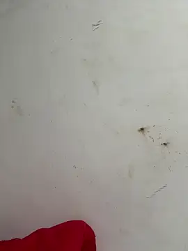 palomamoraid online show from February 2025 10:27:01 PM