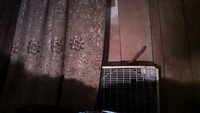 luke thighwalker2469 online show from December 2025 02:45:02 AM