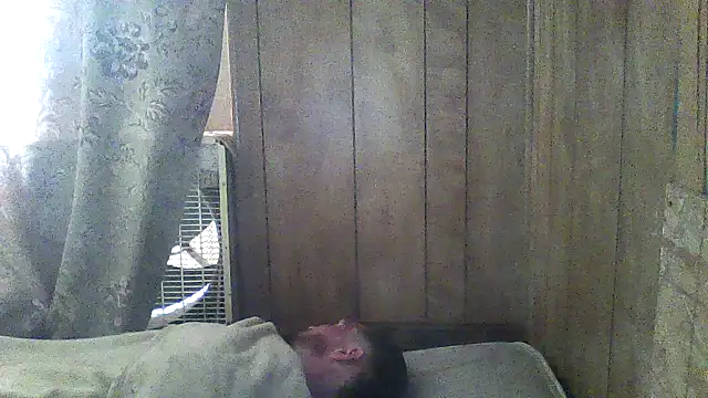 luke thighwalker2469 online show from March 2026 05:20:01 PM