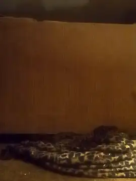 Snapshot of luke_thighwalker2469 chatting on February 2025 01:11:02 PM luke thighwalker2469 online show from February 2025 01:11:02 PM