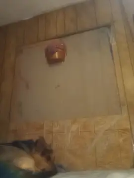 Snapshot of luke_thighwalker2469 chatting on February 2025 01:16:01 PM luke thighwalker2469 online show from February 2025 01:16:01 PM