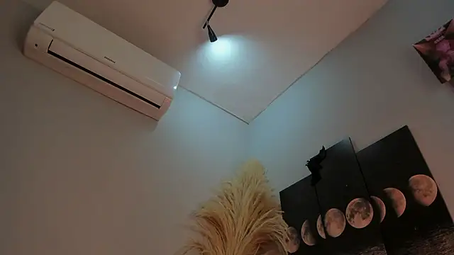 ALICEPOIXXXON online show from January 2026 06:53:02 AM