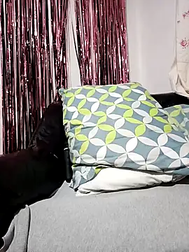 Joagorditahot online show from November 2025 11:30:02 PM