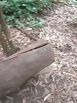 Snapshot of mis312 chatting on November 2025 04:29:01 PM mis312 online show from November 2025 04:29:01 PM