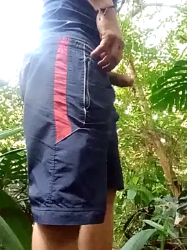 Snapshot of mis312 chatting on September 2025 08:49:01 PM mis312 online show from September 2025 08:49:01 PM