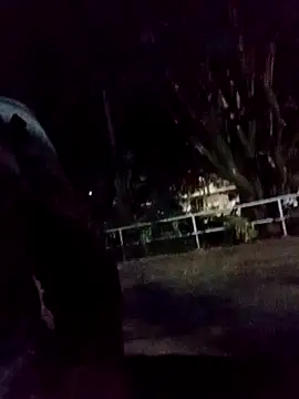 Snapshot of mis312 chatting on September 2025 03:05:01 AM mis312 online show from September 2025 03:05:01 AM