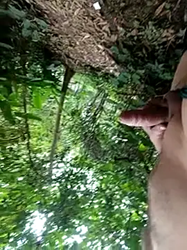 Snapshot of mis312 chatting on December 2025 01:15:01 PM mis312 online show from December 2025 01:15:01 PM