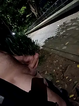 mis312 online show from February 2026 08:36:02 AM