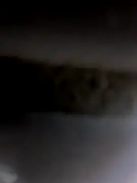 Godvibes online show from November 2025 06:55:01 PM