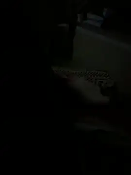 Snapshot of julia_julia02 chatting on February 2026 03:18:02 AM julia julia02 online show from February 2026 03:18:02 AM