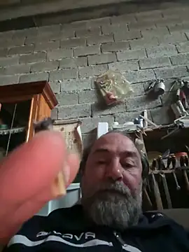 ros217 online show from April 2026 05:03:02 PM