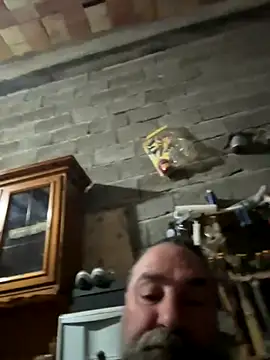 ros217 online show from November 2025 03:44:02 PM