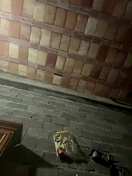 ros217 online show from January 2026 09:18:01 PM