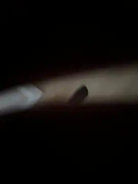 Snapshot of XMenX24 chatting on December 2024 11:44:01 AM XMenX24 online show from December 2024 11:44:01 AM