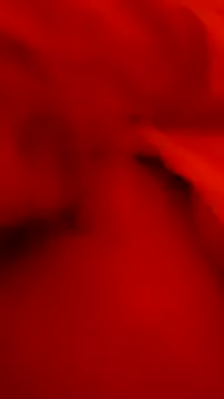 nickshal online show from December 2024 06:23:01 AM