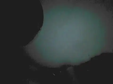 18cm2hrcarlos online show from March 2026 04:12:01 AM