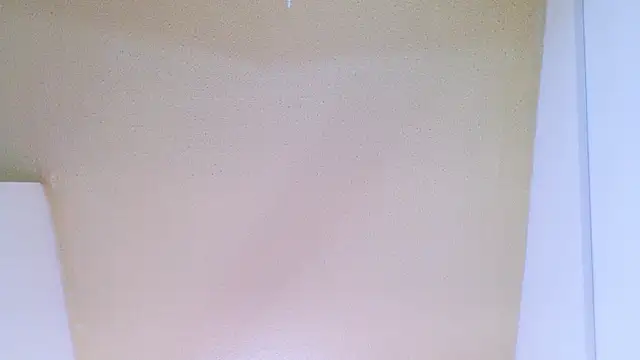 Snapshot of meghan_nill chatting on June 2026 03:18:02 AM meghan nill online show from June 2026 03:18:02 AM