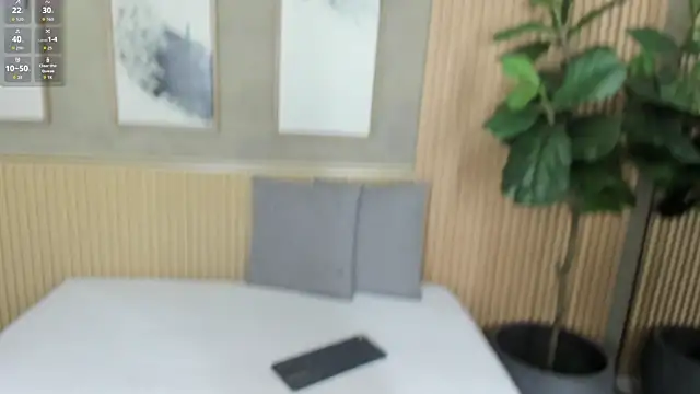 Snapshot of nina_soul chatting on September 2025 12:55:01 PM nina soul online show from September 2025 12:55:01 PM