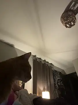 SmokingSloth online show from November 2025 06:17:01 AM