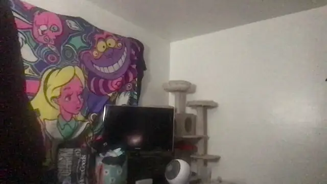 SpunCandy online show from May 2026 08:49:01 PM