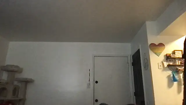 SpunCandy online show from January 2026 03:15:01 PM