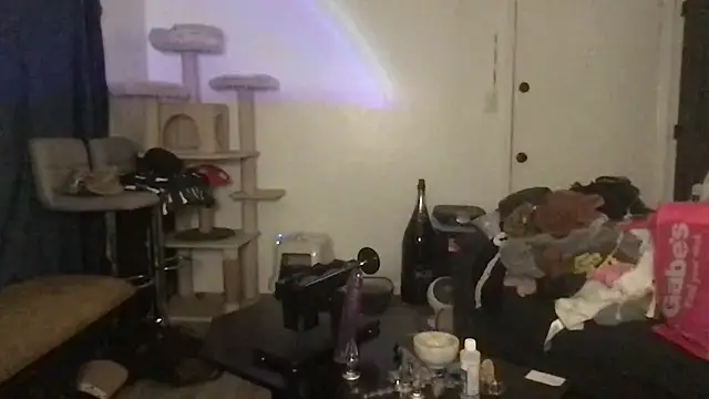 SpunCandy online show from March 2026 10:24:02 PM