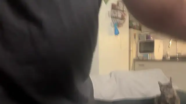 SpunCandy online show from February 2026 09:25:02 PM