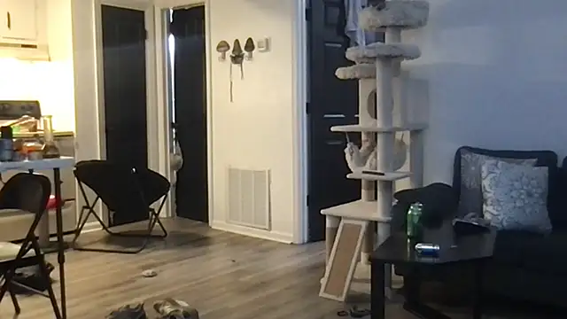 Snapshot of SpunCandy chatting on October 2025 04:28:02 AM SpunCandy online show from October 2025 04:28:02 AM