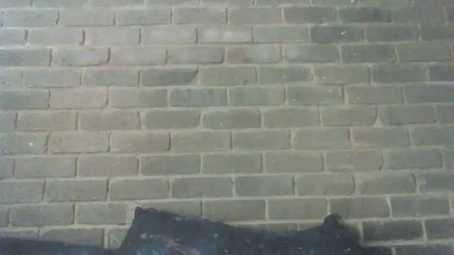 EksJouneMwah online show from September 2025 09:37:01 AM