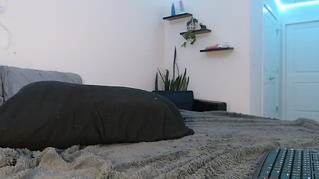 fallongrayxo online show from March 2025 11:28:02 PM