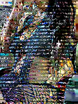 sneha rose online show from September 2025 06:10:01 PM