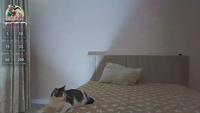 Snapshot of Sandrikta chatting on February 2025 07:42:01 PM Sandrikta online show from February 2025 07:42:01 PM