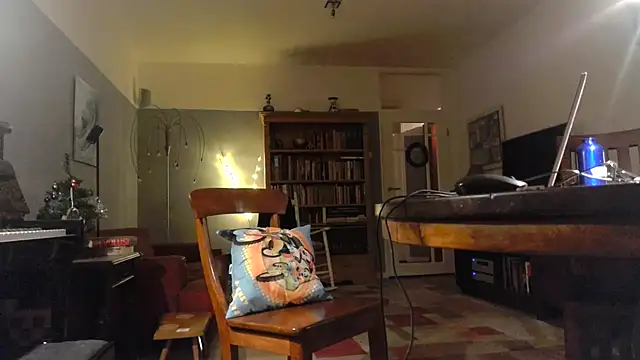 Snapshot of RolfS chatting on December 2025 11:32:02 PM RolfS online show from December 2025 11:32:02 PM