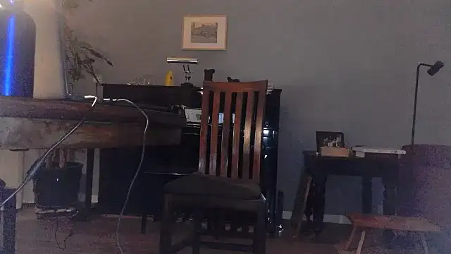 Snapshot of RolfS chatting on January 2025 11:11:01 PM RolfS online show from January 2025 11:11:01 PM